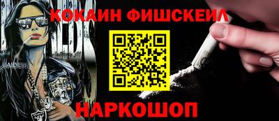 гашик Сланцы