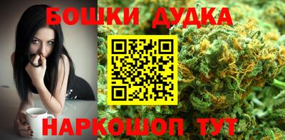 гашик Сланцы