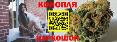 гашик Сланцы