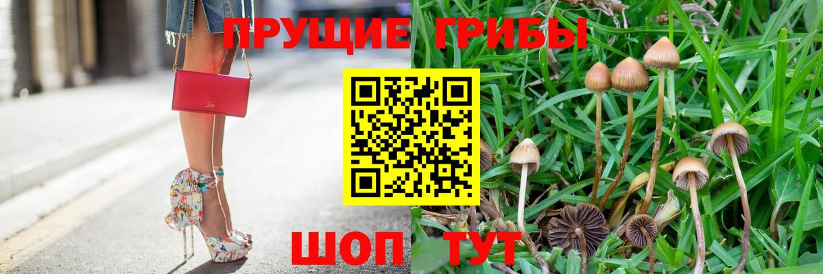 Рубцовск  Псилоцибиновые грибы Magic Shrooms  Вход с VPN 